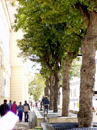 quartier 21 - view from electric avenue to main entrance